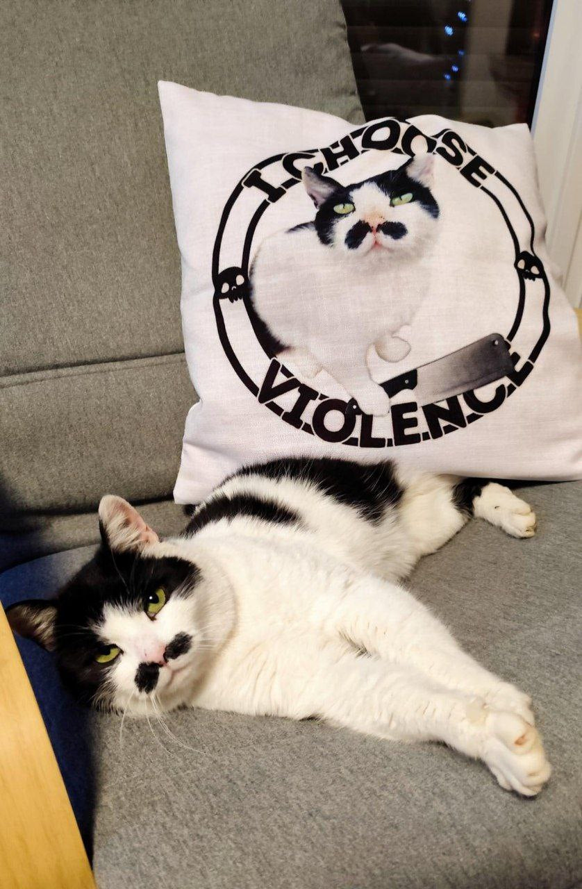 Cat Violence Premium Pillow Case