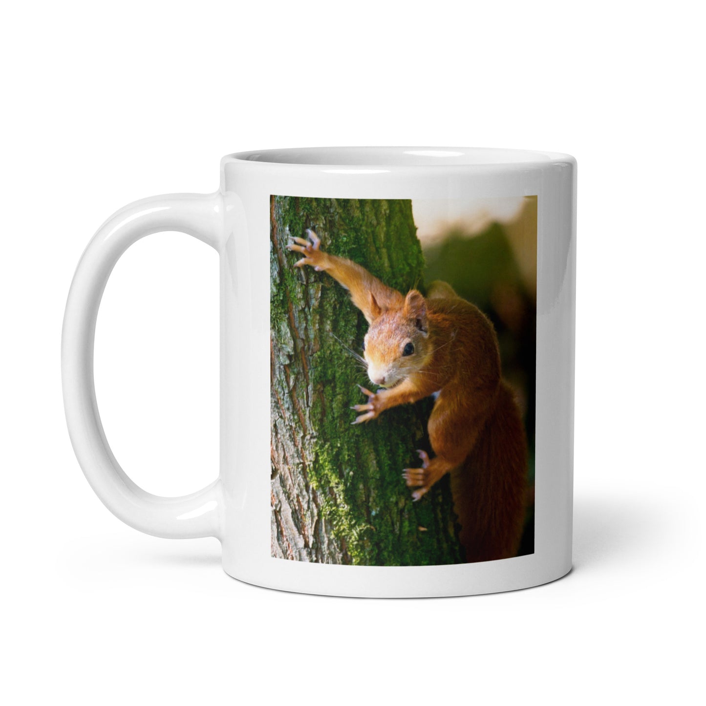 Spider Squirrel Mug