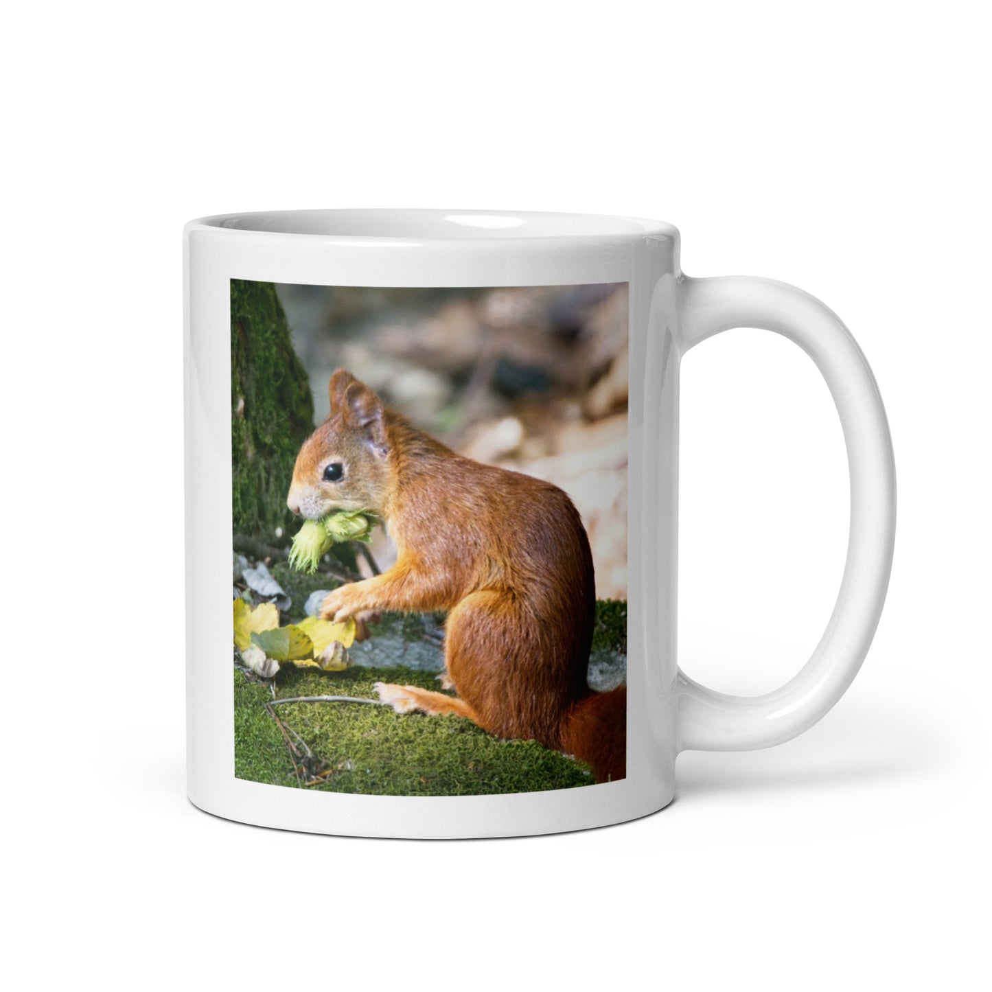 Cute Squirrel Mug