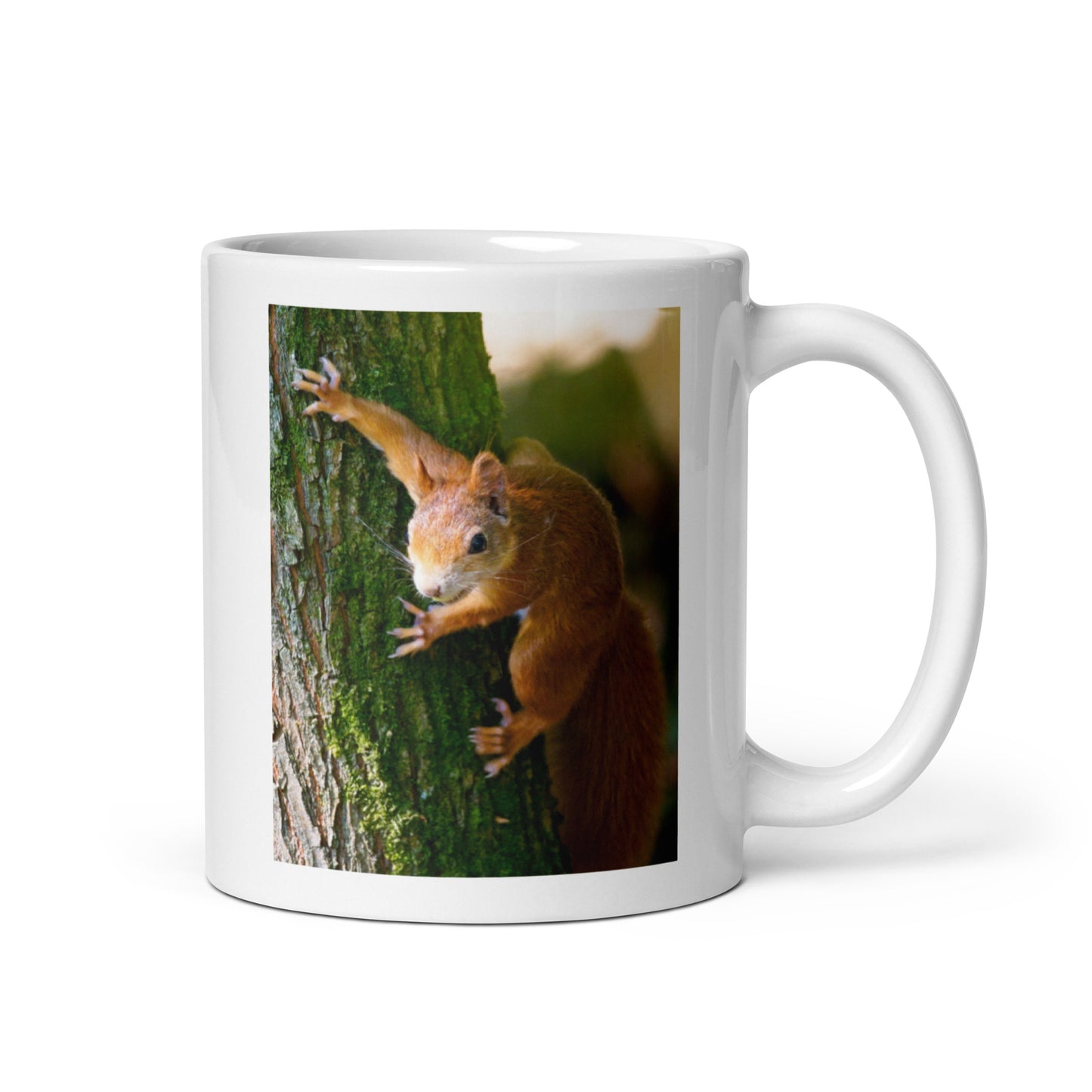 Spider Squirrel Mug